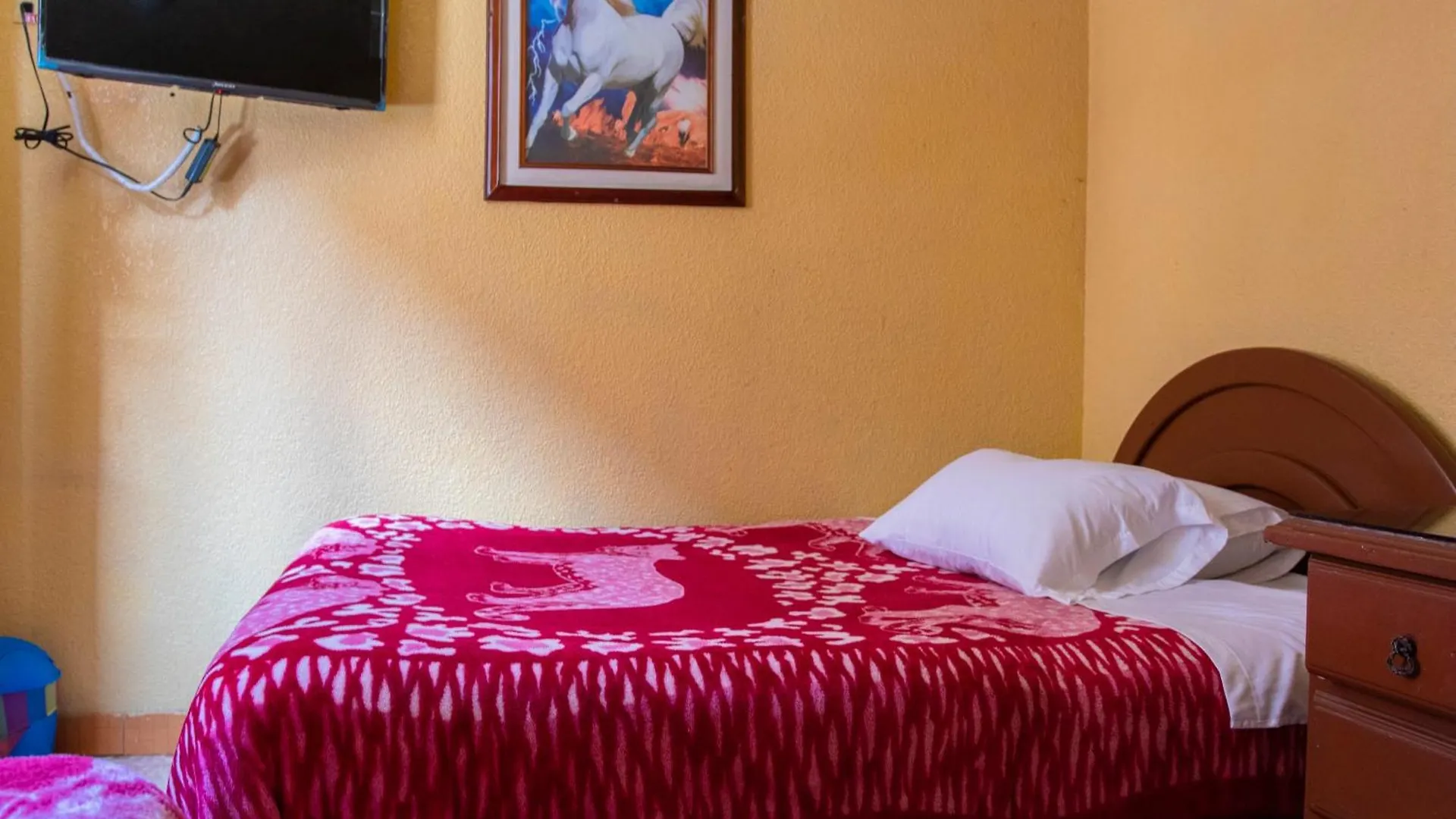 Hostal Carlos Luis Quito 0*,  Ecuador