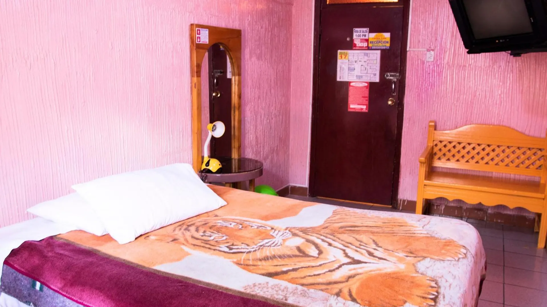 Hostal Carlos Luis Quito Ecuador