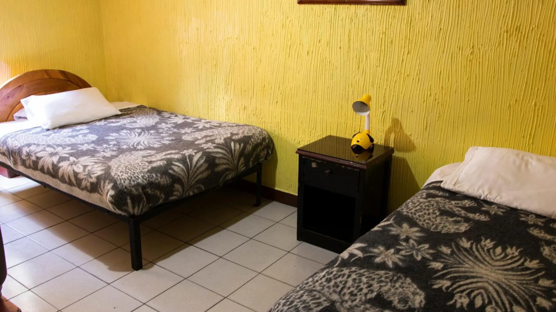 Hostal Carlos Luis Quito